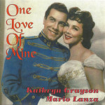 store-lanza-onelove