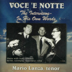 store-lanza-voce